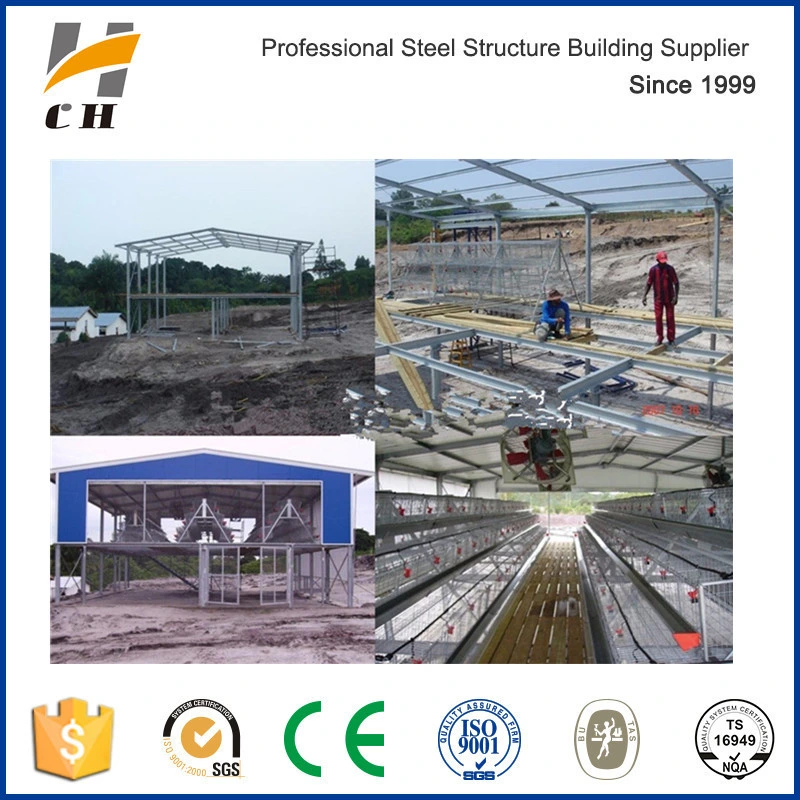 Factory Suppilers Prefab Steel Sheds Poultry Farm Structures