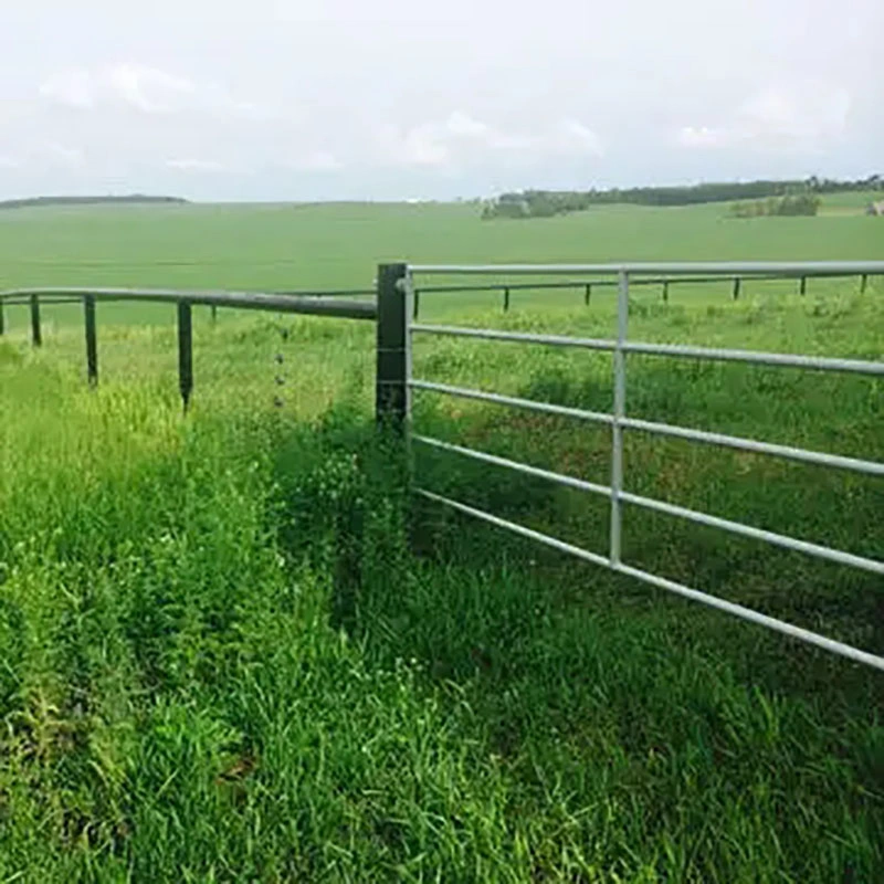 Sheep and Goat Panels Good Quality Sheep Feeding Pen Hay Feeder Panels