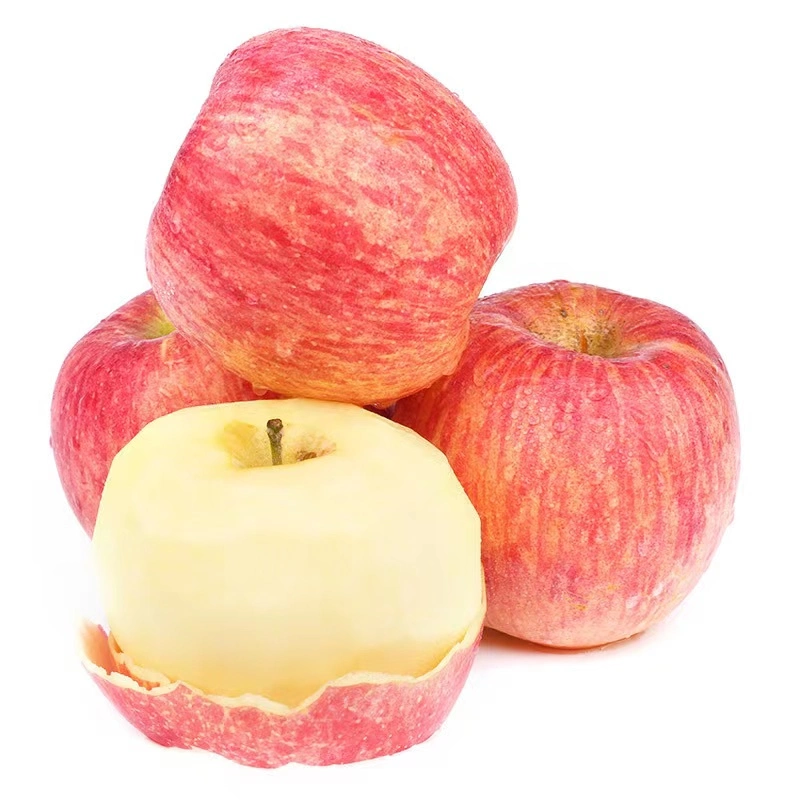 China Fresh Fruit Hot Sale Selected Quality Fresh Red Apple Corp FUJI