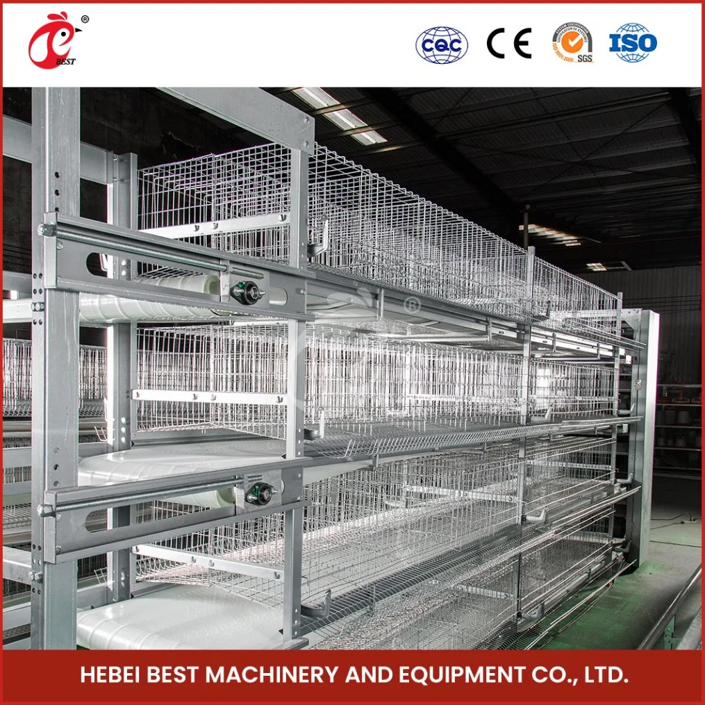 Bestchickencage H Type Young Hen Coop Breeder Cage China Storage Shed Baby Hen Coop Factory OEM Custom High-Accuracy 4X8 Pullet Hen Chicken Coop for Sale