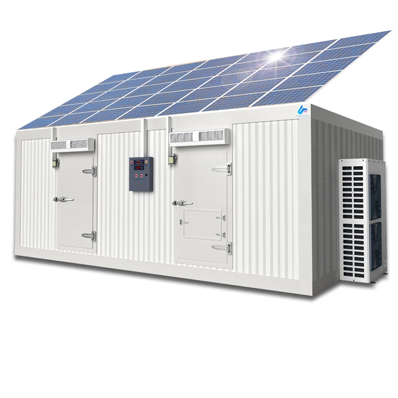 Solar Panel Powder Built-in Battery Deep Cold Freezer Room Storage