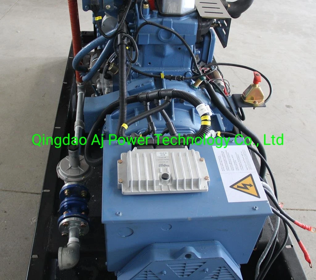 Conjunto de geradores Ricardo Biogas de 28 kW e 35 kVA fabricado na China