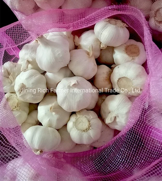 New Crop China Fresh Garlic Seeds Put in Mesh Bag