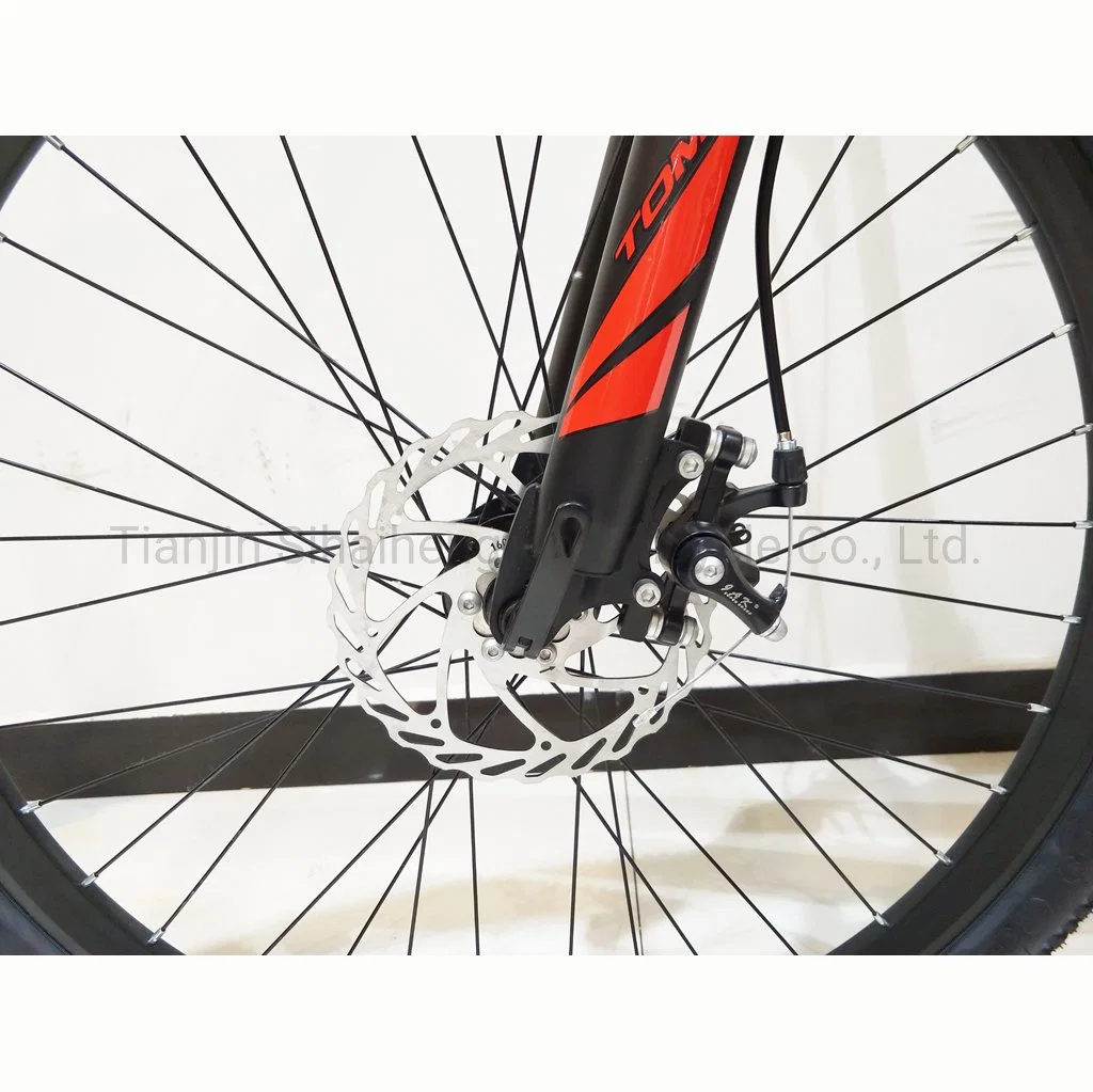 Vélo de montagne cadre en acier de 26 pouces Vélo bon marché 21 vitesses Personnalisation de base