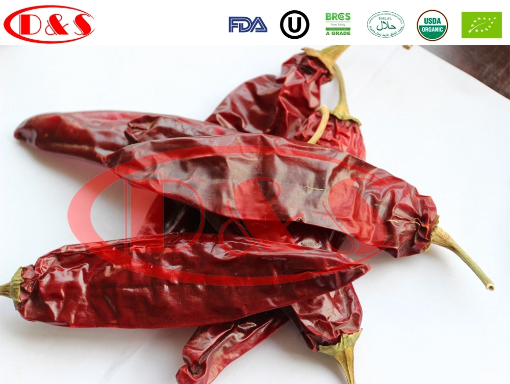 Roher Yidu Chili Zero Additive Long Dry Red Chili/ Costeno Chile