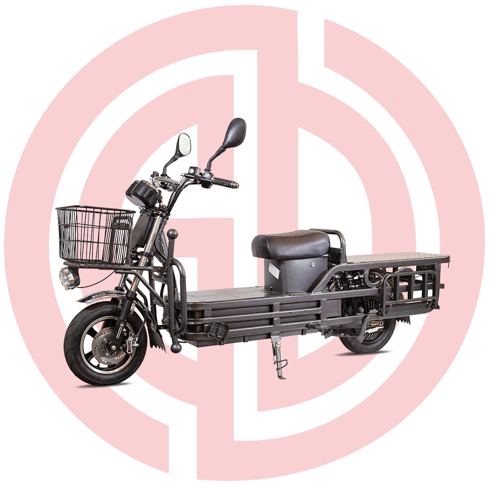 Triciclo eléctrico del motor de carga eléctrica de carga de moto scooter de bicicletas