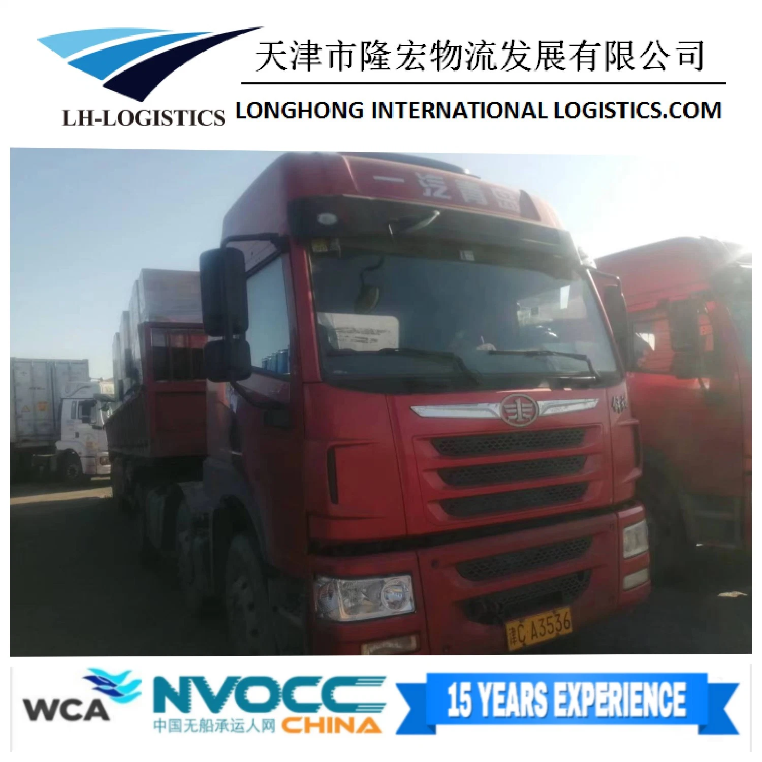 Servicio profesional Transporte de mercancías Transporte marítimo China a EE.UU./Canadá/Alemania Puerta A la puerta de envío de servicio