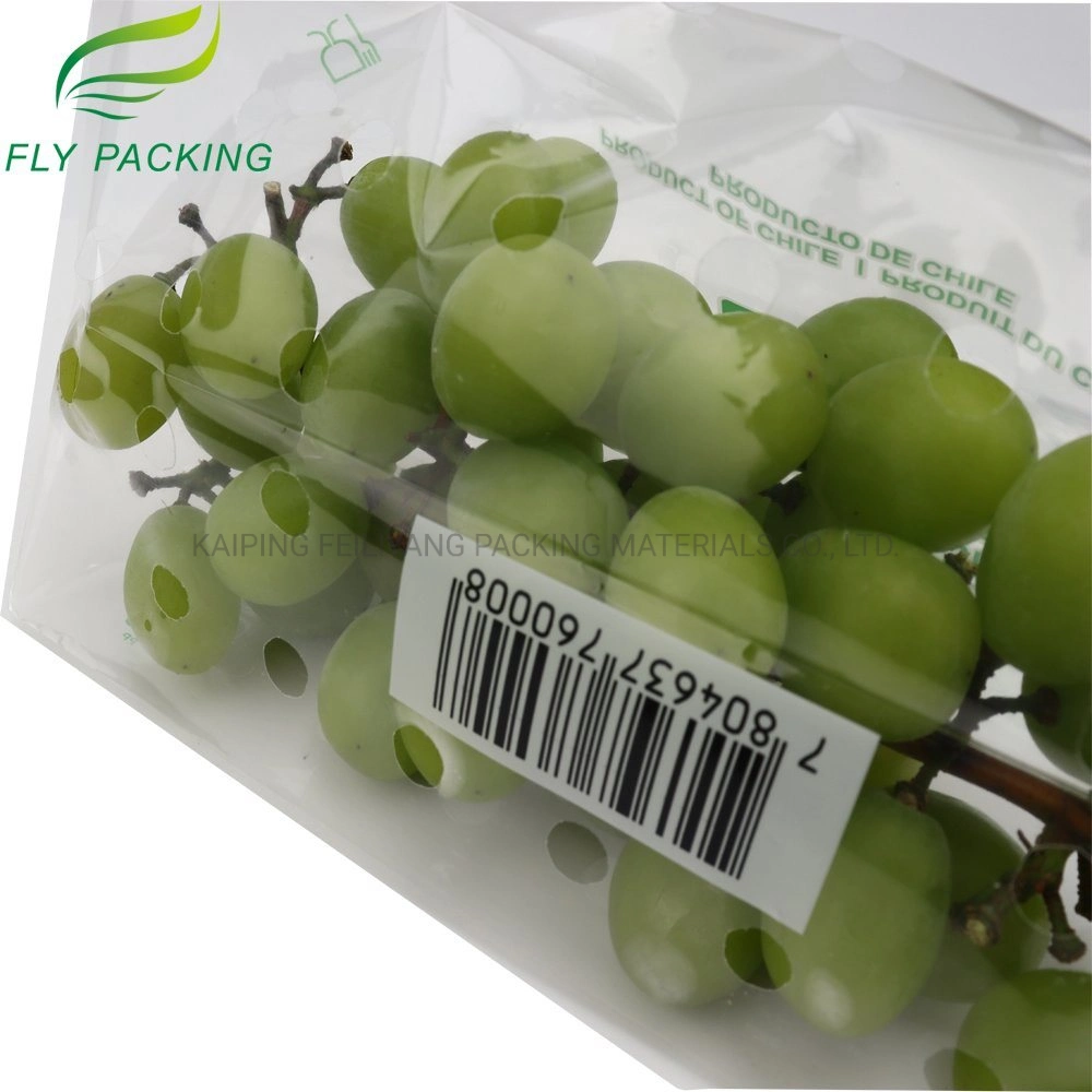 Venda por grosso de plástico de Segurança Alimentar o Material de Embalagem de plástico de uvas do fecho de saco de frutas