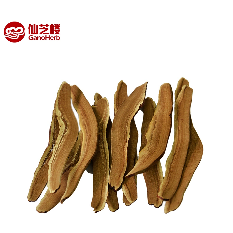 Ganoherb Organic Ganoderma Lucidum Dried Mushroom Slices Factory Supply