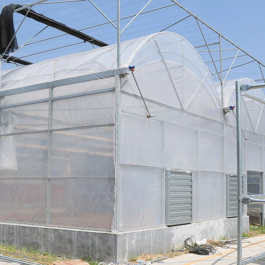 200 Mircon Plastic Film Tunnel Greenhouse for Tomato