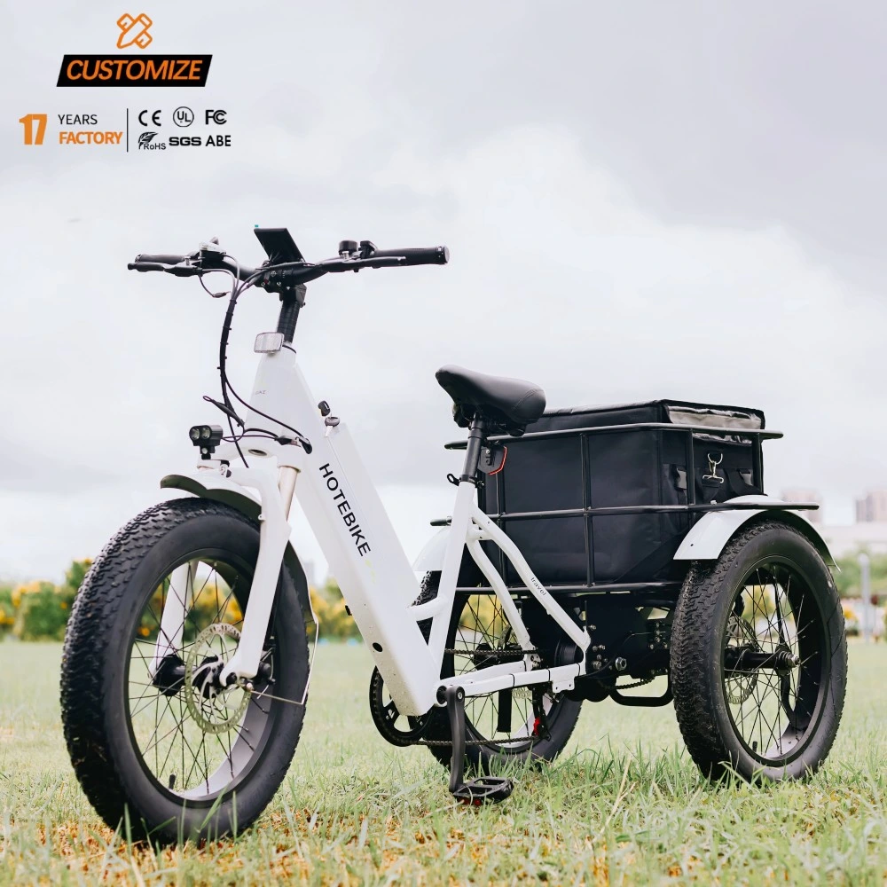 Factory Custom Electric Tricycles 20inch Fat Tire Three Wheel Electric Bike Trike for Sale