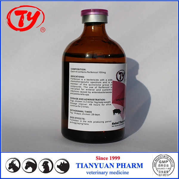 Animal Medicine Florfenicol for Horse Cattle Sheep Health Cure