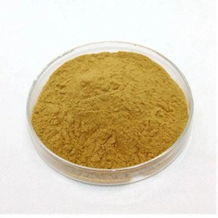 Corn Pulp/Corn Pulp Dry Powder/Corn Steer Liquor CAS 66071-94-1