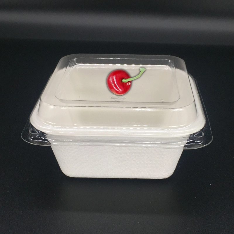 Biologisch abbaubare Lebensmittelverpackung Bagasse 250ml Square Box, Zuckerrohr Dinner Box