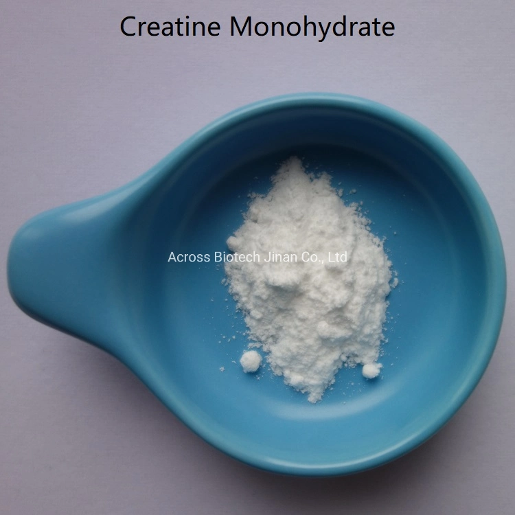 Come to Us to Buy Creatine Monohydrate CAS 6020-87-7 at Affordable Price