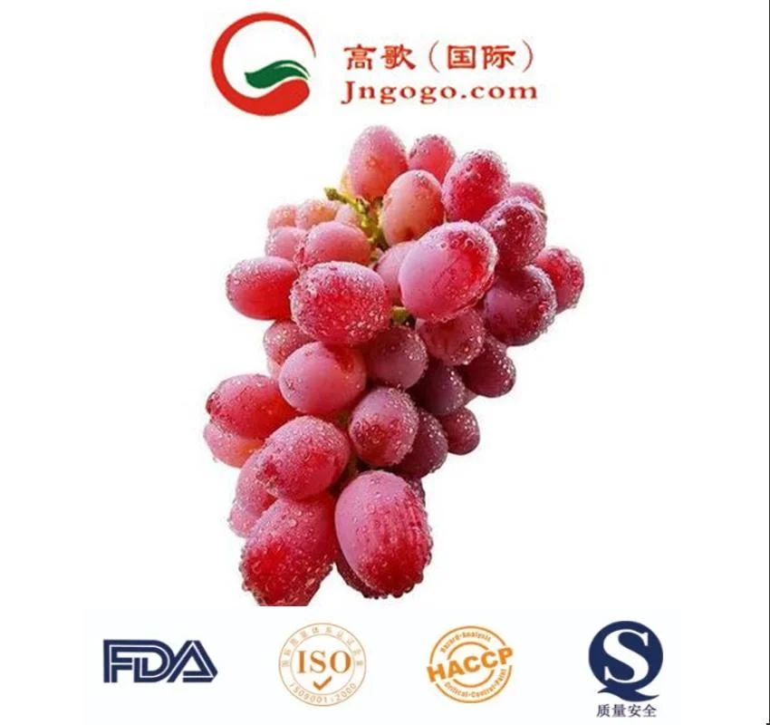 Bulk Supply Grapes Hot Sale Wholesale/Supplier Sweet Fresh Table Grapes Fruit