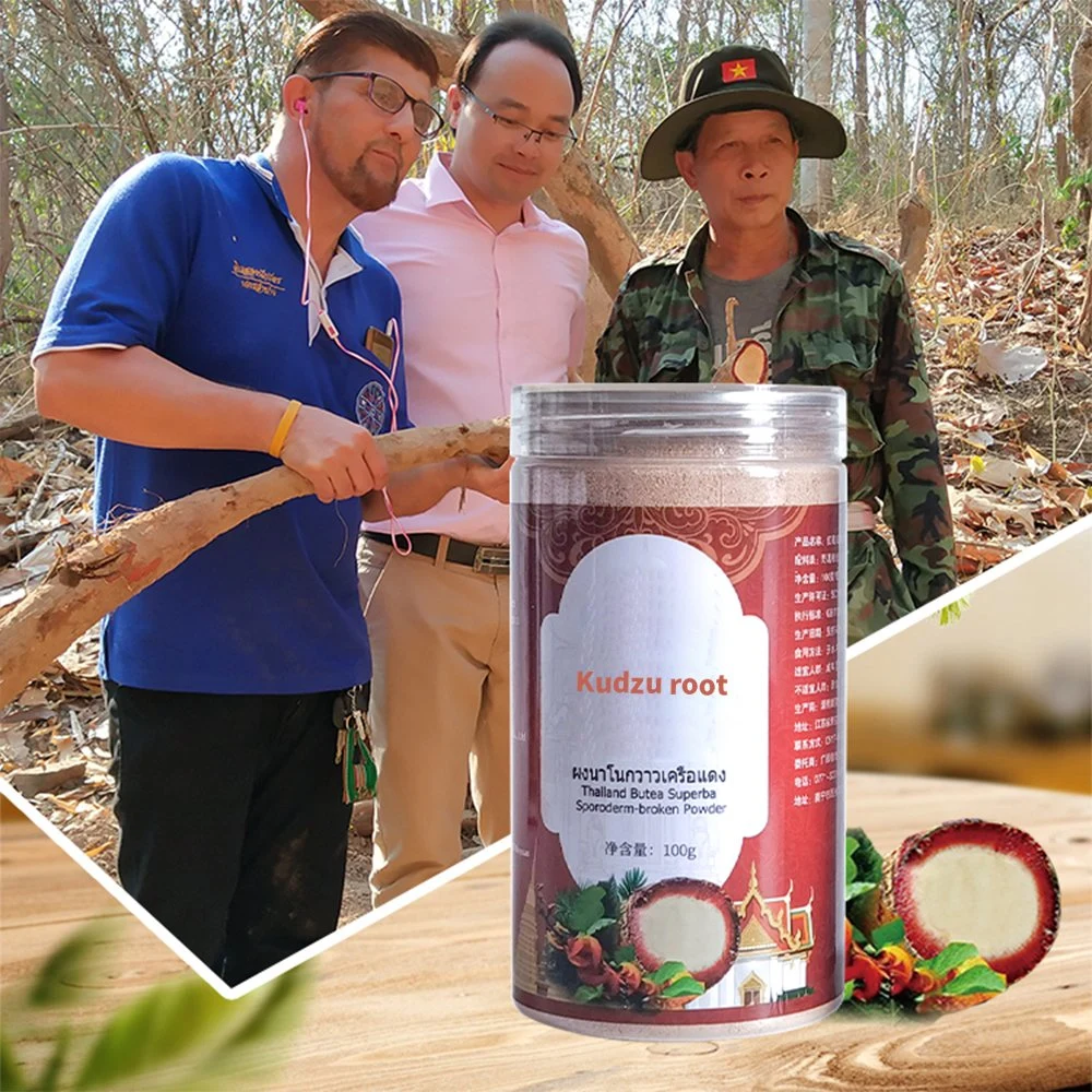 OEM Health Food Supplement Bulk Food Kudzu Root Nutrition Podwer Food Supplement