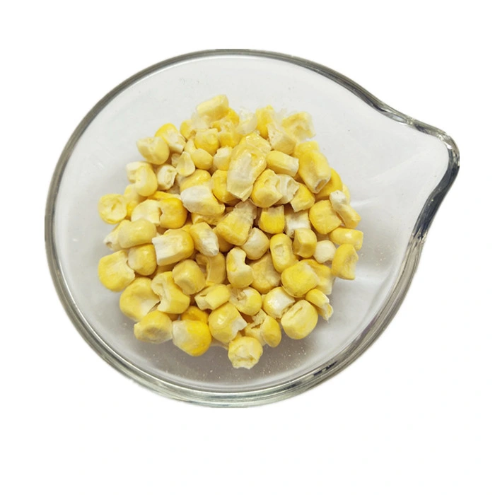 Vacuum Packed Yellow Sweet Corn Kernels Orignal Corn Yellow Color for Whole Sale