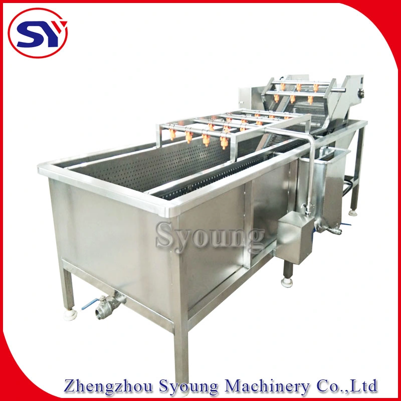 High Pressure Cleaner Mushroom Tomato Carrot Washing Machine with Air Bubbling