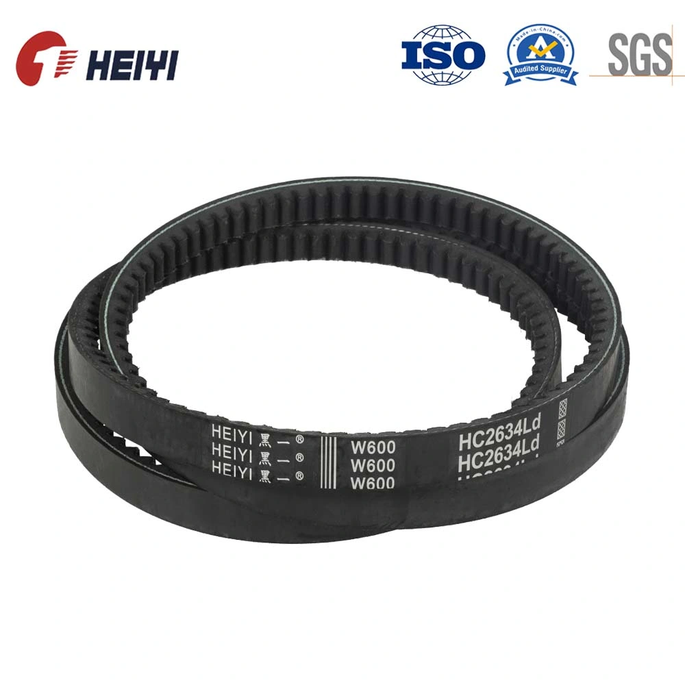 Heiyi Factory Directly Supply Raw Edge Cog V Belt Xpa, Xpb, Xpc, Xpz, Ax, Bx, Cx, Ox for Tractor, Mulching Head