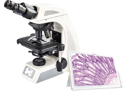 Eastmed Cx620 Top Digital Biological Lab Microscope Factory Price