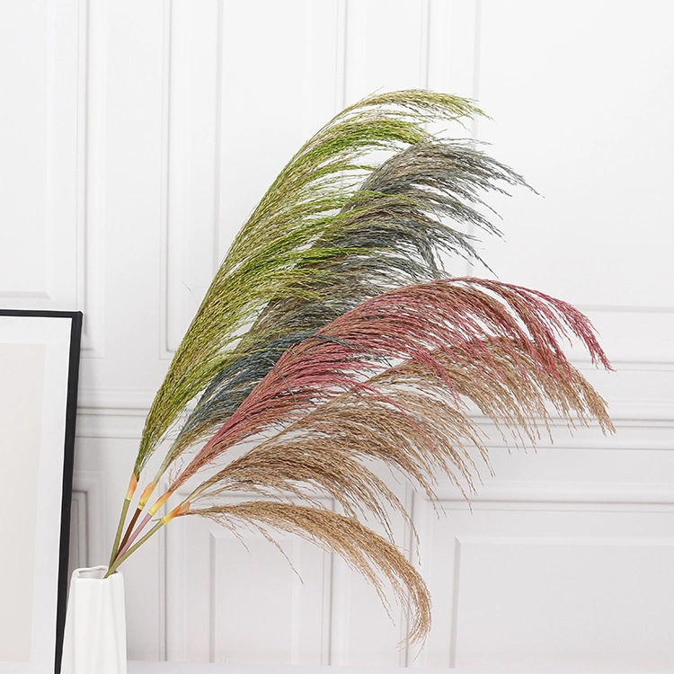 Amazon Fashion Design Natural Dry Pampas 110cm Dry Pampas Reed Arrangement for Decoration