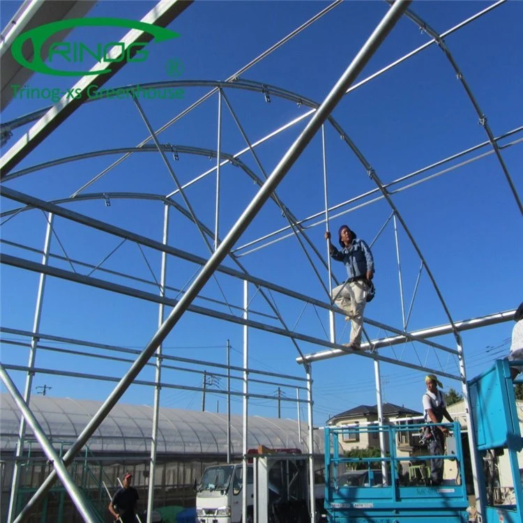 Agricultural Multi-Span Film Greenhouse with Quick Construction