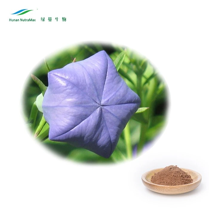 Platydodon Grandiflorum Powder 4: 1~20: 1 Radix Platycodi Extract