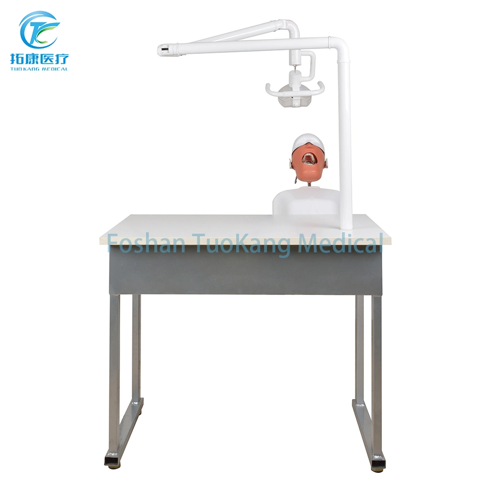 Medical Dental Simulation Unit Phantom Head Dental for Student Education Manual Phantom Head Simulator