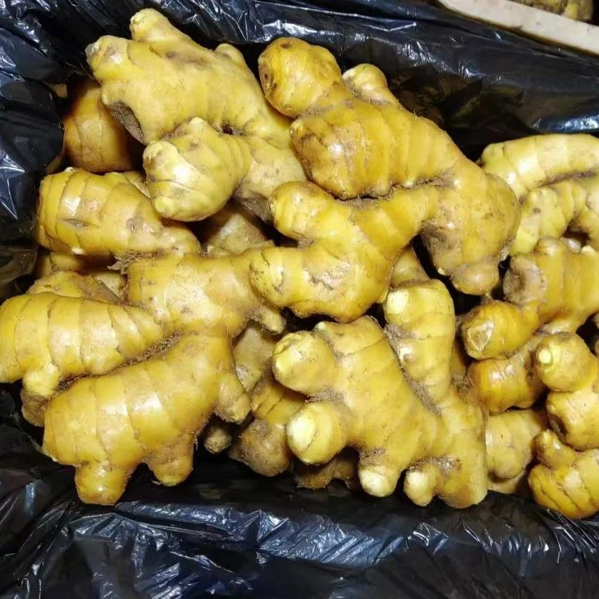 New Crop Chinese Shandong Fresh Yellow Air Dried Dry Garlic Ginger Vegetable