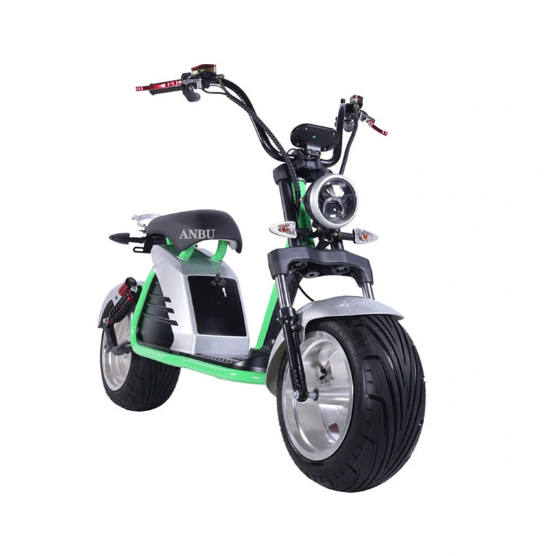 off Road Adult Two Wheel 2000W Halley Fat Tire Electric Scooter with Double Seats