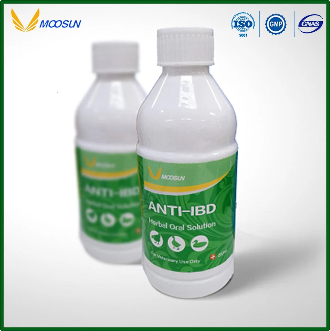 GMP Factory Anti Coccidia Herbal Oral Solution Veterinary Drug