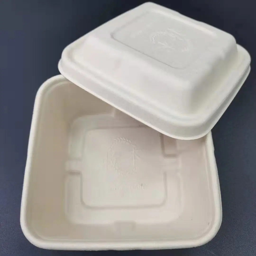 Disposable Eco-Friendly Pulp Burger Bento Cake Dessert Lunch Takeout Packaging Box Container