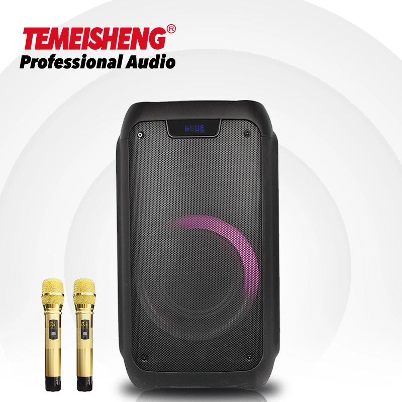 2022 Temeisheng Mobile Karaoke Speaker 8 Inch Portable Mobile Bt Speaker Sound Equipment Party Portable Speaker