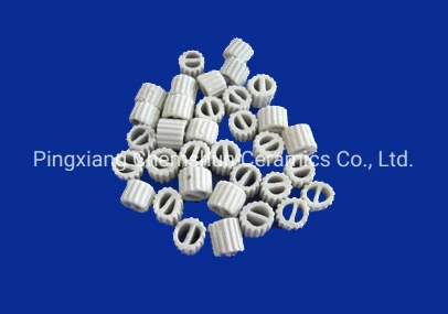 Ceramic Tower Packing for Distillation Column