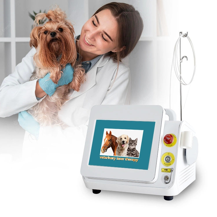 Discount Class IV Laser 980nm Laser Physiotherapy Device Price Machine Higt Intensity Veterinary Laser Therapy Vet Laser for Horse