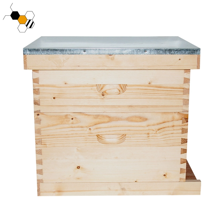 Maison du miel en bois Fabricants Bee Hive ruche Langstroth Case de l'équipement de l'apiculture