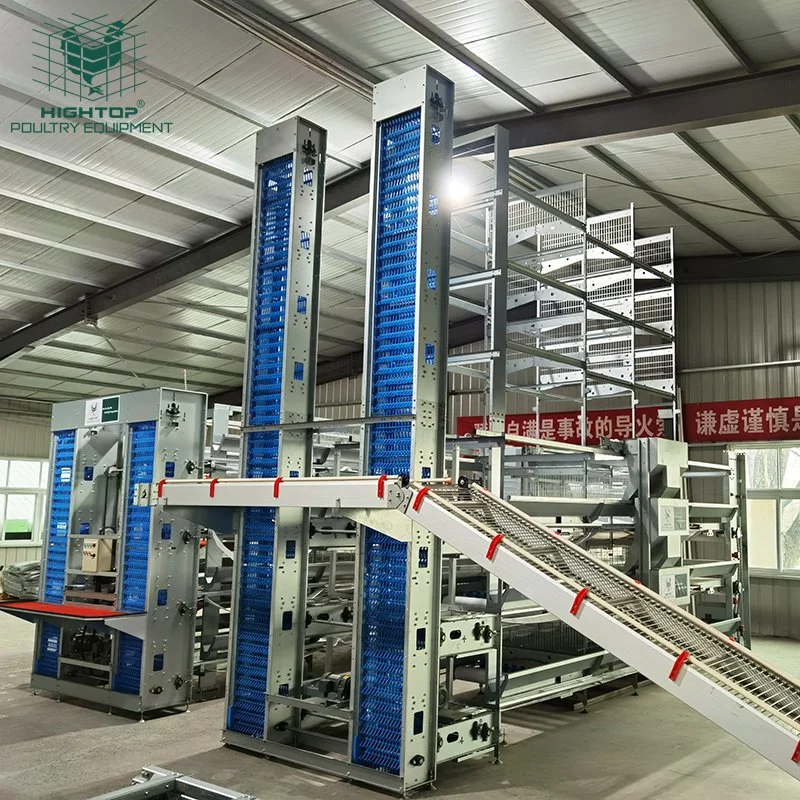 New Design Automatic System Egg Chicken Battery H Type Hot DIP Galvanized Layer Chicken Cages