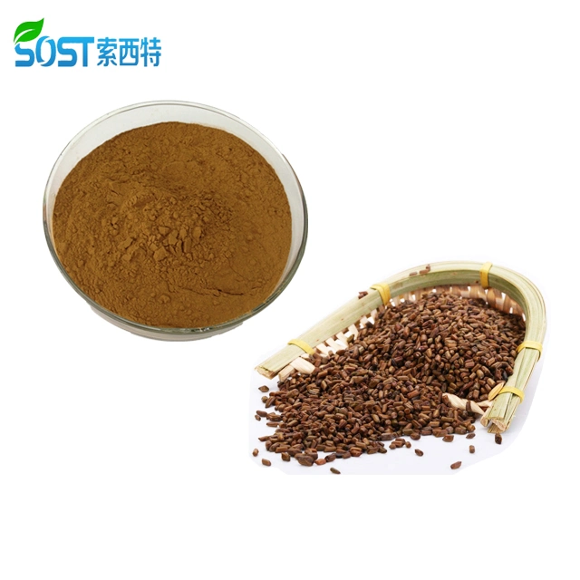 Best Selling Product Natural Herbal Extract Cassia Seed P.E.