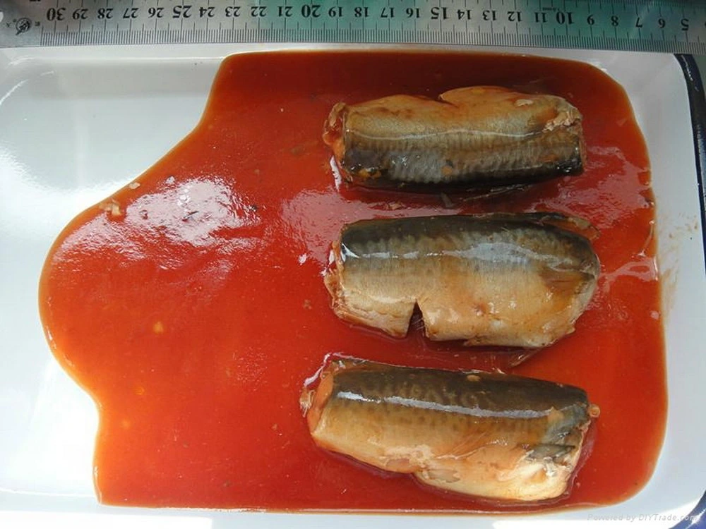 Healthy Seafood Canned Mackerel in Tomato Sauce