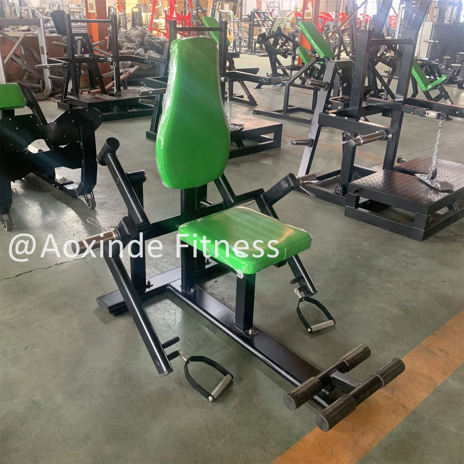 Professional Top Level Hot Special Gym Equipment Fitness &Body Building Biceps Curl (AXD-N63)