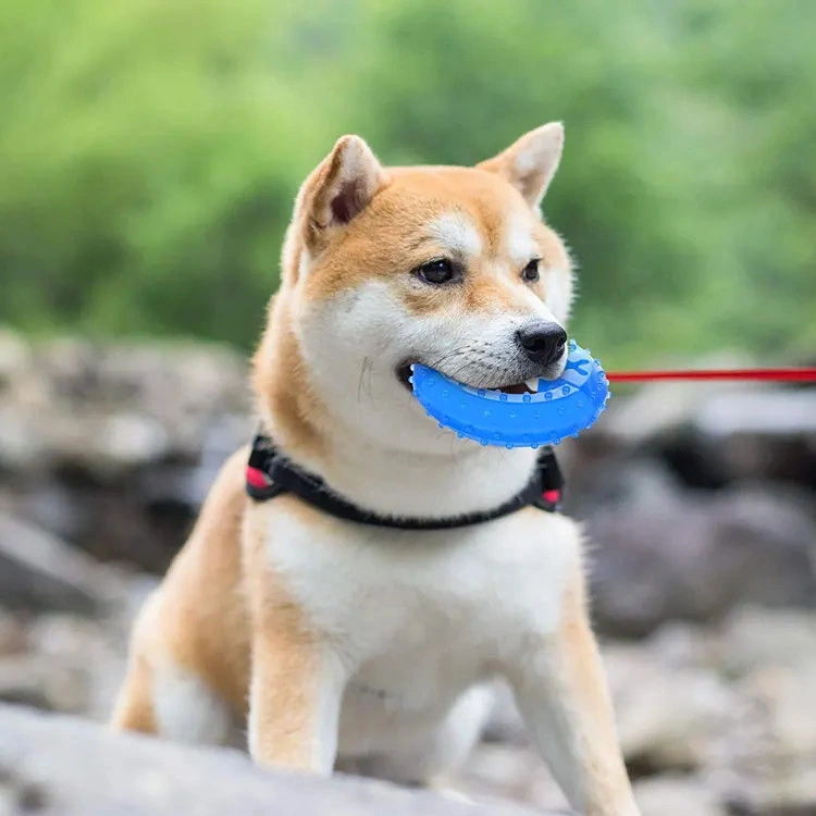 Productos para mascotas Arctic Freeze buscar comida mordedor de refrigeración actualizado Chew Toy