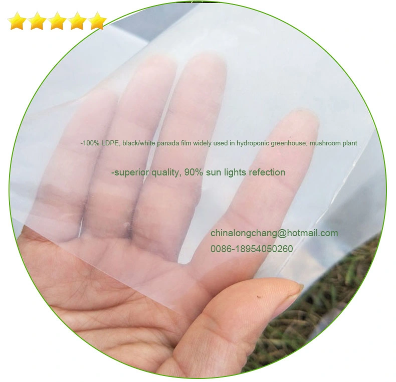 Hot Sales Clear Greenhouse Polyethylene Film 6 Mil 8 Mil Poly Film Greenhouse Plastic Overwintering Film