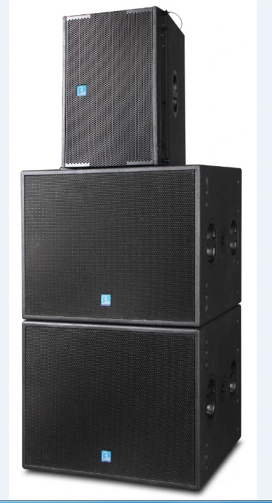 Double 10&prime; &prime; Compact Line Array Loudspeaker (very high SPL)