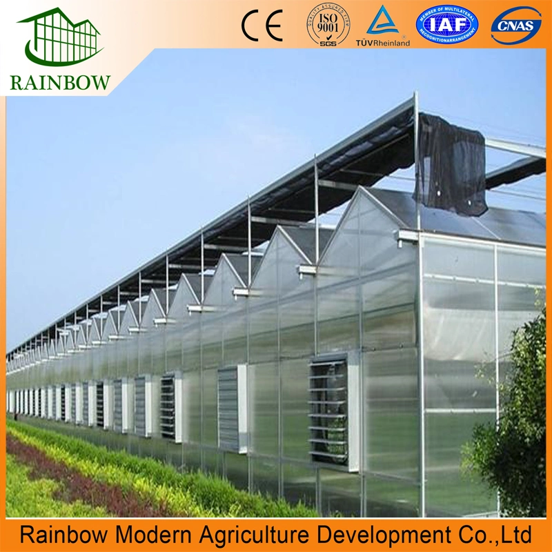 Commercial Modern Agricultural Smart 8mm Polycarbonate Greenhouse with Hydroponics for Vegetables and Flowers