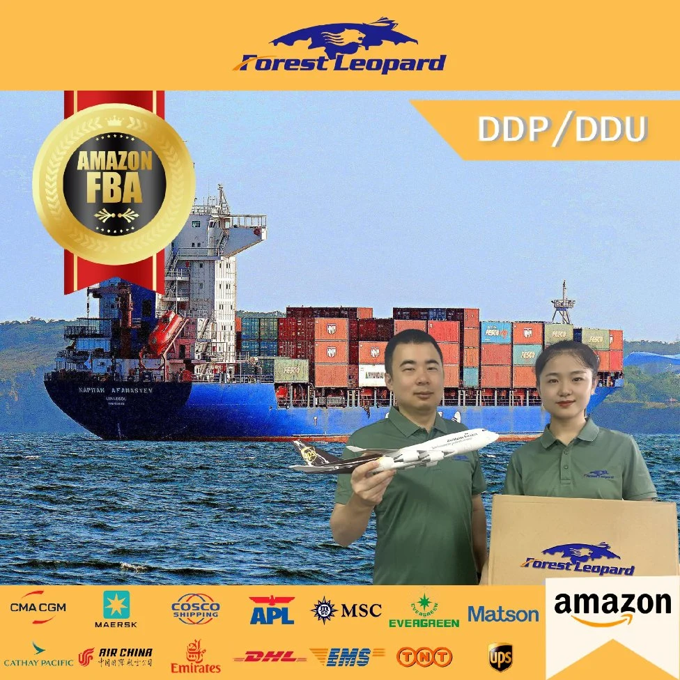 Fba Sea Freight Forwarder Shipping Cost China to UK/France/Germany/Poland/Europe DDP Service