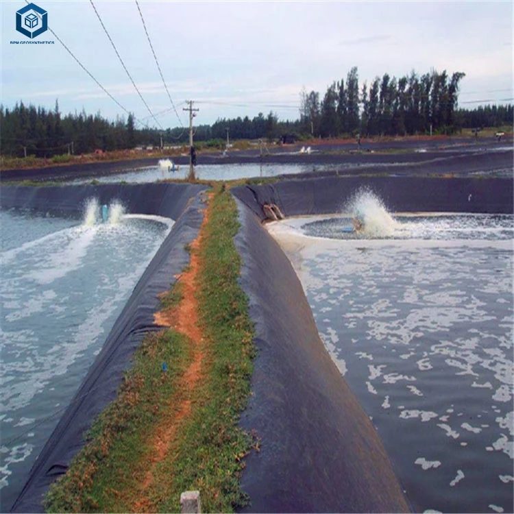 0.2mm/0.5mm/1.0mm/2.0mm Black Plastic Sheet Liner CE/ASTM Viring Waterproofing HDPE Geomembrane for Agriculture/Dam/Landfill/Lake/Biogas/Aquaculture Project