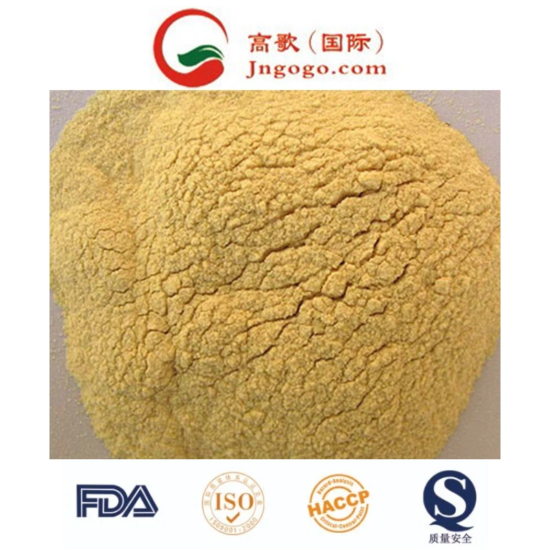 New Crop Dehydrated Onion Powder (100-120 Mesh)