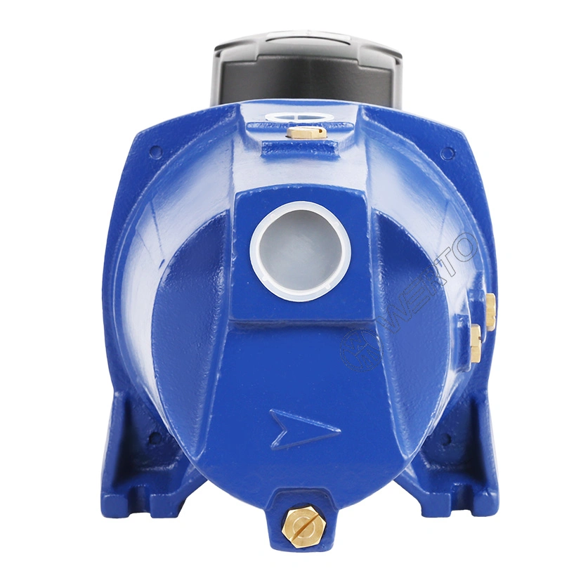 Werto Jsw/3bl 1.5kw 2HP 1.25"&times; 1" Inch Self-Priming Jet Clean Water Pump Domestic Use & Garden Irrigation