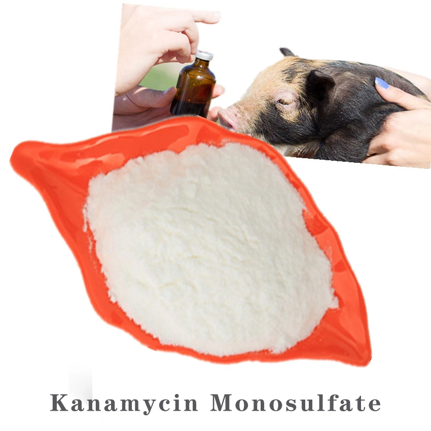 Veterinary Drug Raw Material CAS 25389-94-0 Kanamycin Monosulfate